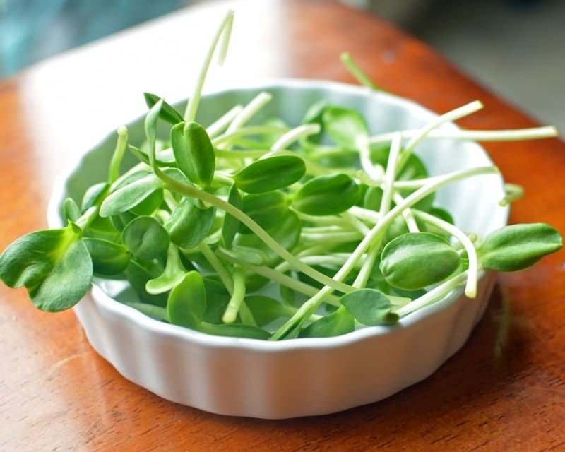 Sunflower Sprouts Grow and Eat! Super Healthy Kids